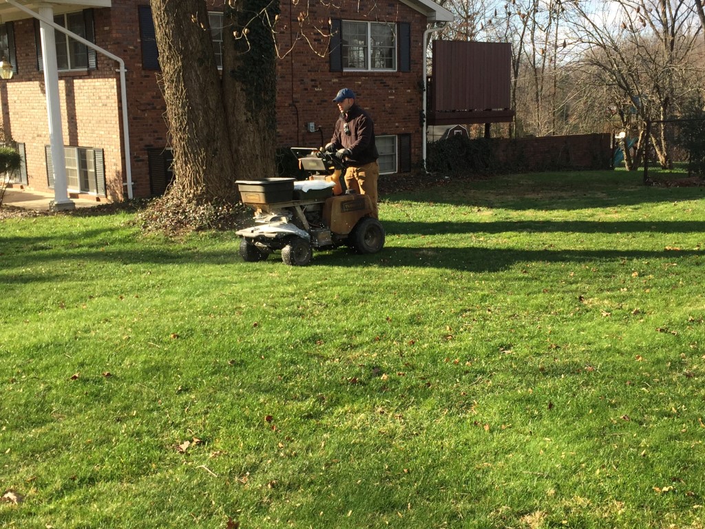 Lawn Treatment