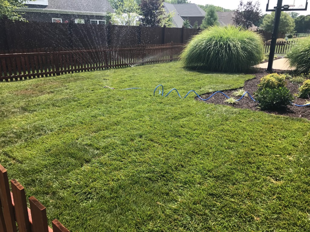 Lawn Treatment